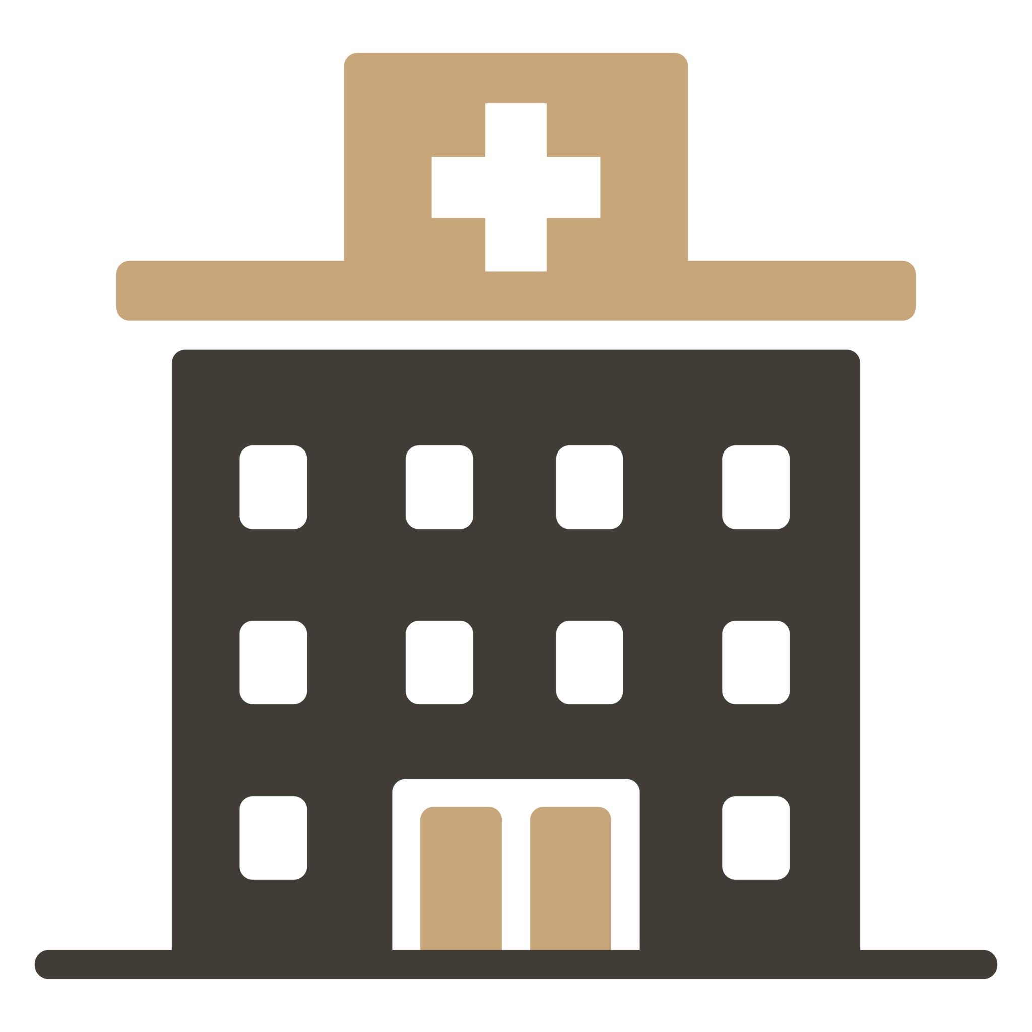 Hospital Icon