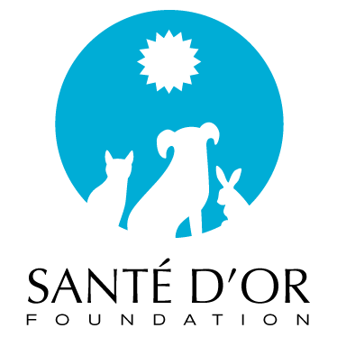 11224834 10153310871974869 5788304395375796786 N