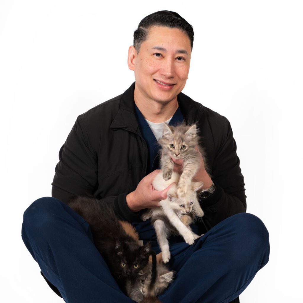 smiling male veterinarian sitting and holding kittens
