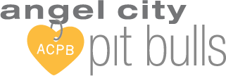 Logo+(1)