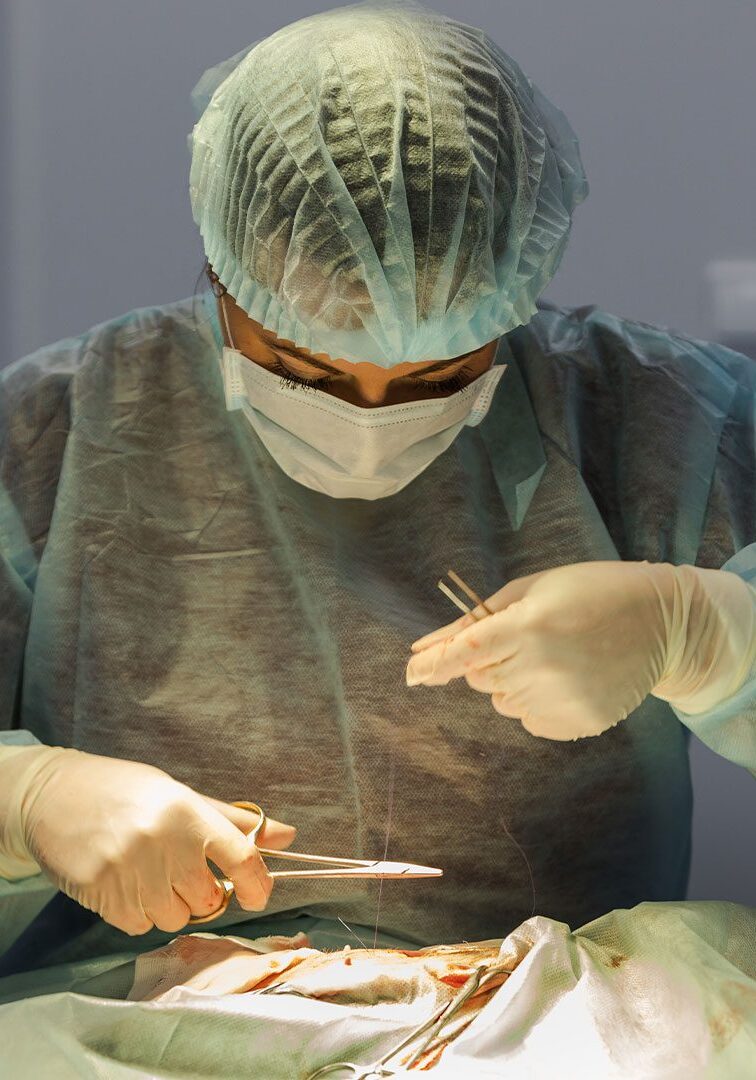 female veterinarian wearing surgical gown and cap and mask and gloves performing surgery in operating room